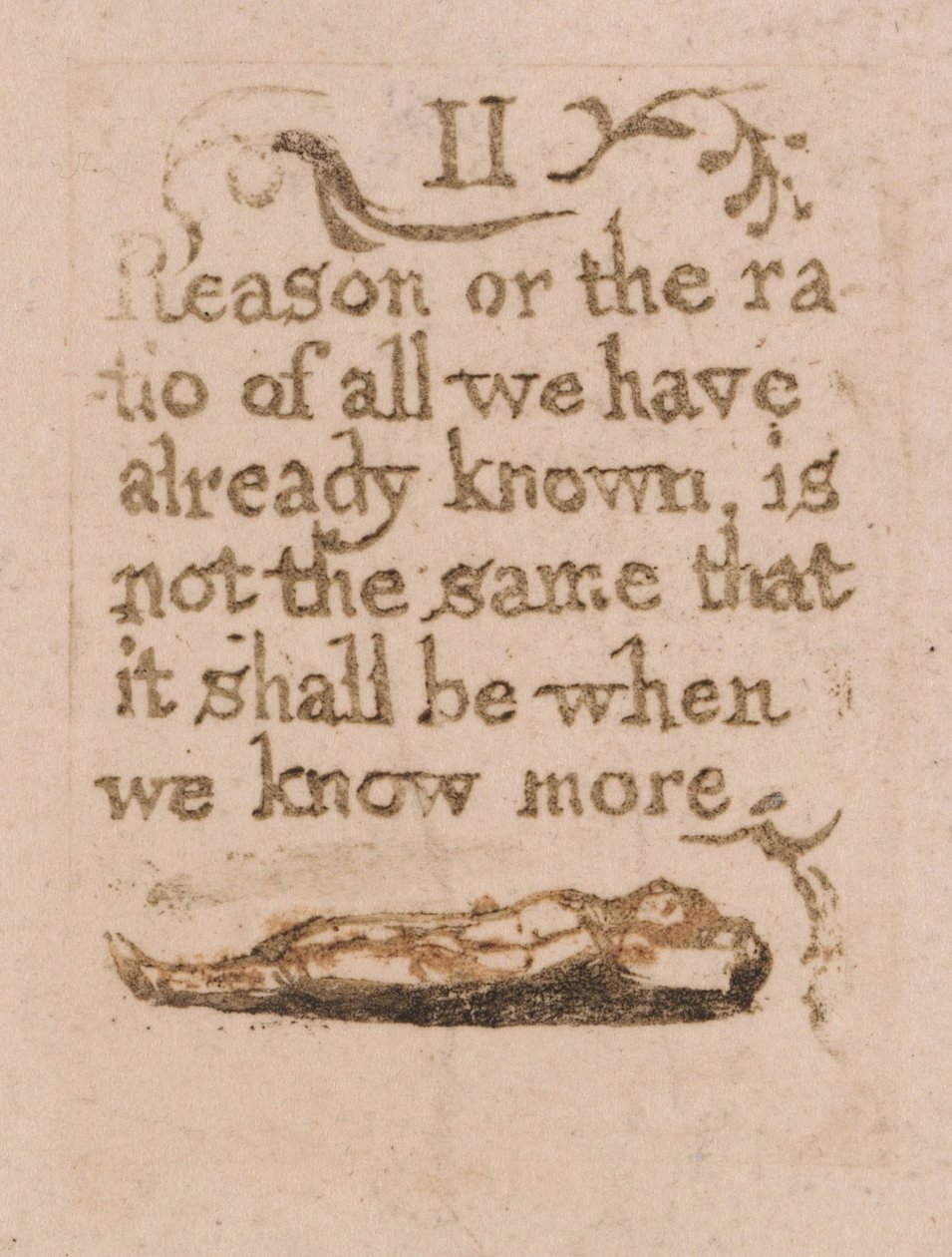 Es gibt keine natürliche Religion, Tafel 11, II Vernunft oder das Verhältnis... (Bentley b4) von William Blake
