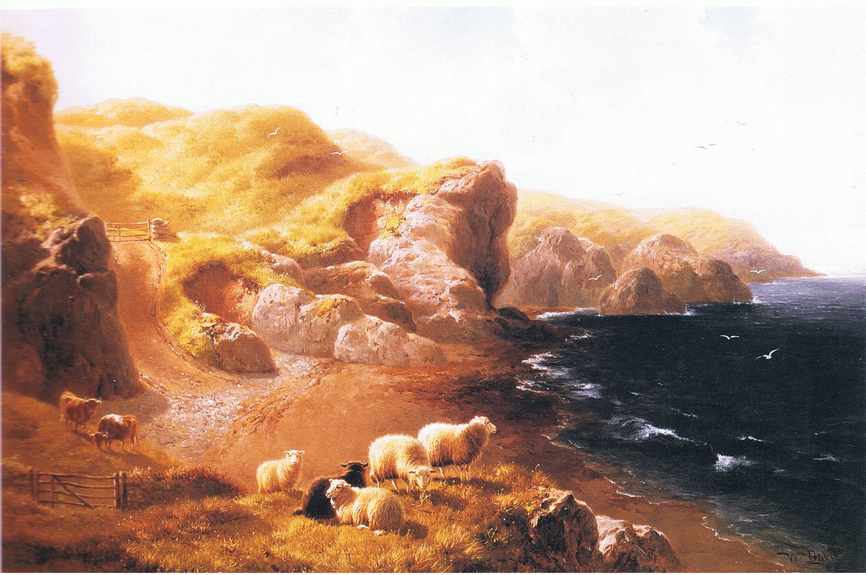 Penliech, Carnarvonshire von William Davies