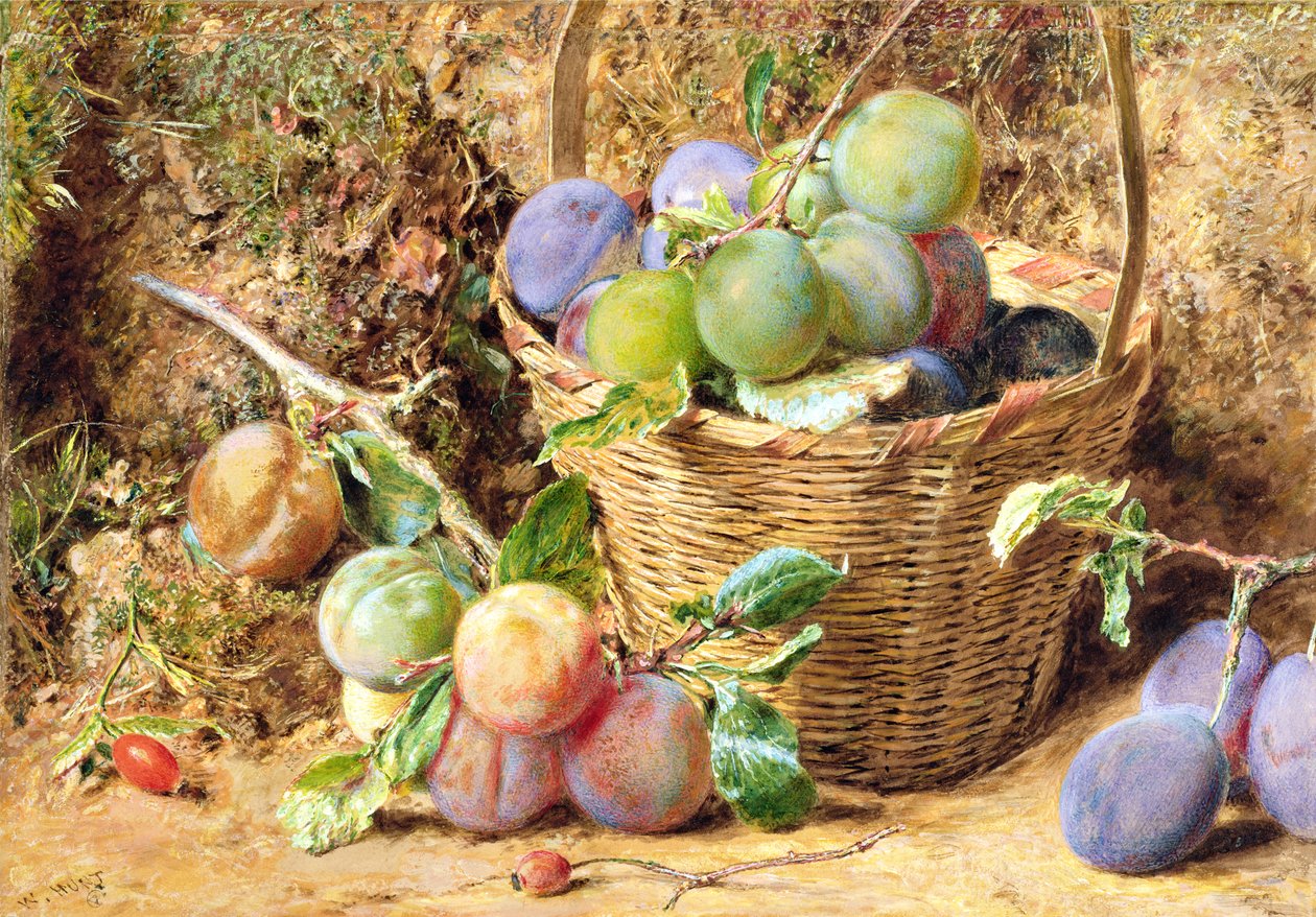 Pflaumen von William Henry Hunt