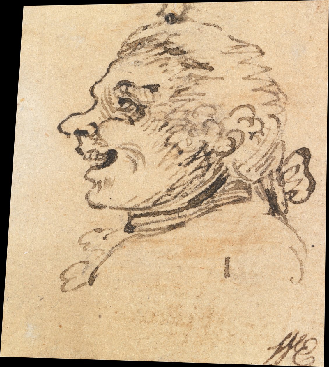 Grotesker Männerkopf von William Hogarth