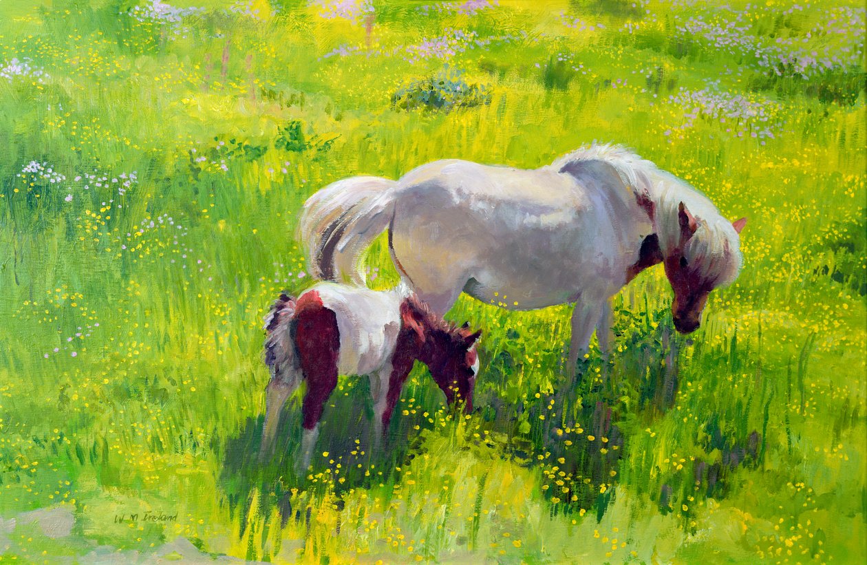 Scheckiges Pferd und Fohlen von William Ireland