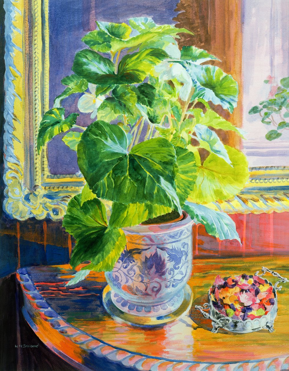 Zum Licht von William Ireland