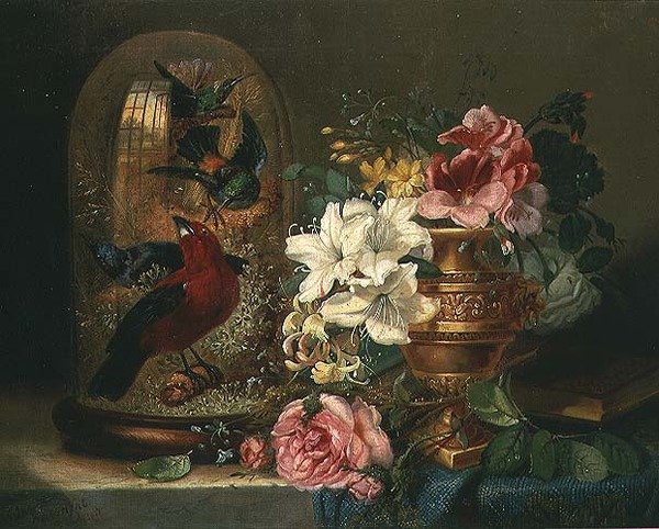 Stillleben mit Blumen und Vögeln von John Wainwright
