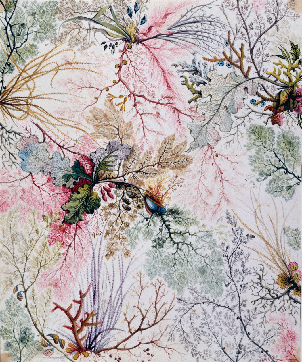 Textildesign, ca. 1788-92 von William Kilburn