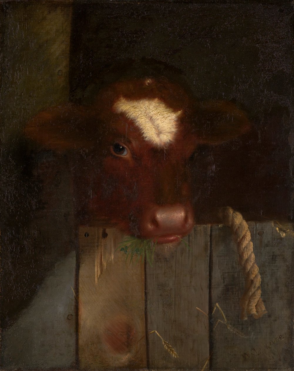 Die Familienkuh (Kalbskopf) von William Merritt Chase