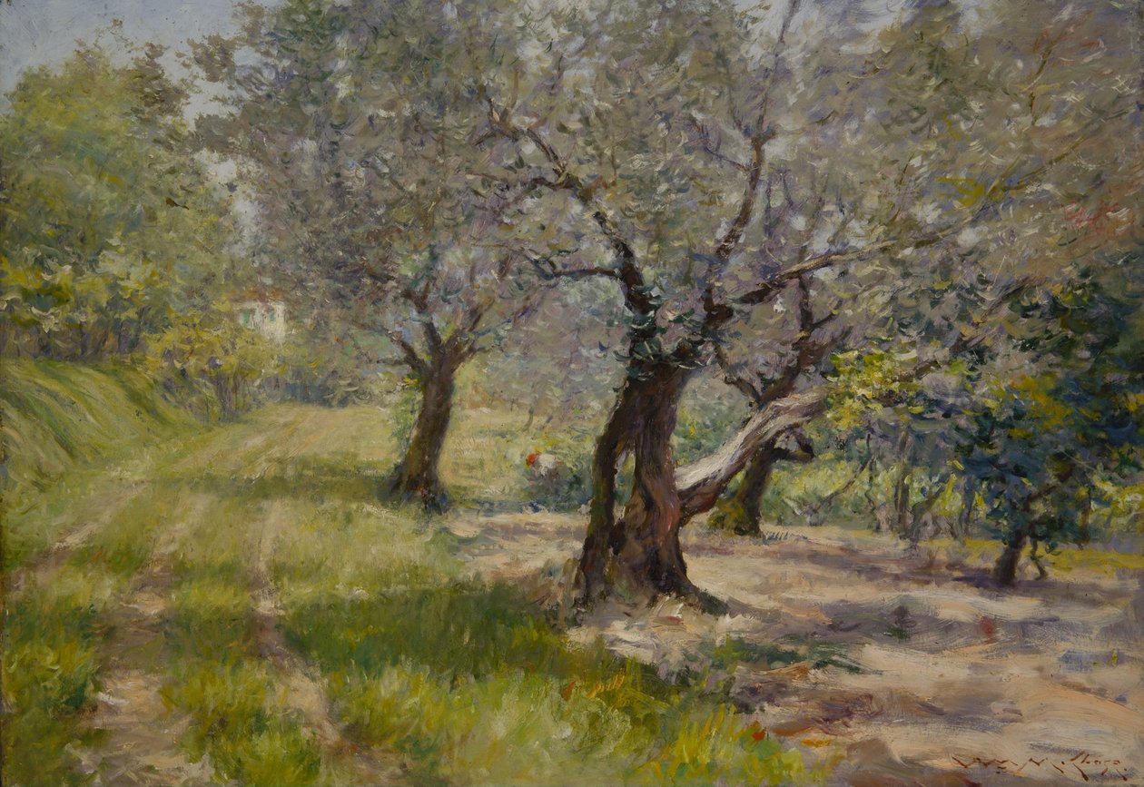 Der Olivenhain von William Merritt Chase
