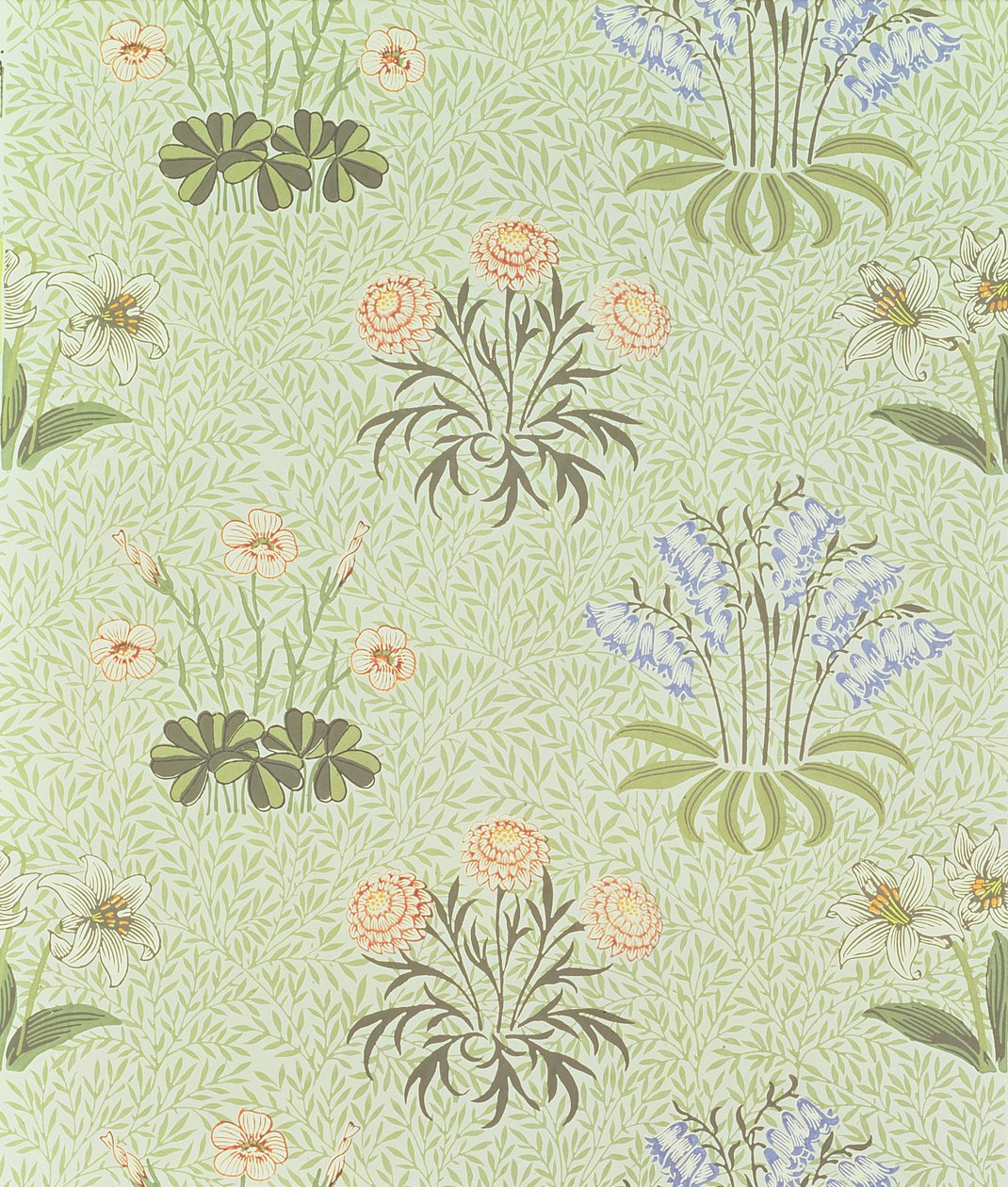 Gänseblümchen-Design-Tapete mit Maiglöckchen und anderen Wildblumen auf einem 