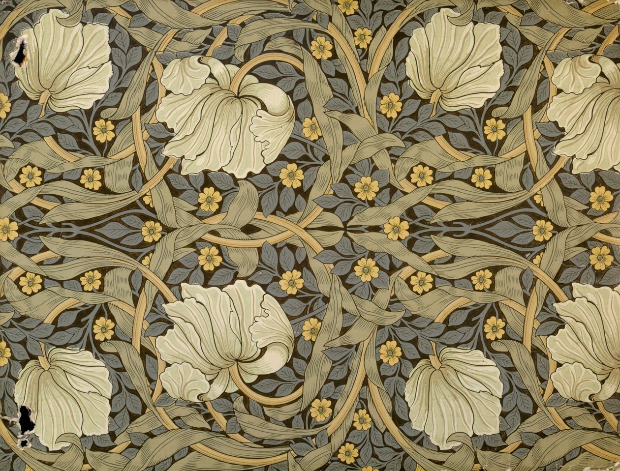 Pimpernell, Entwurf für Tapete, 1876 von William Morris