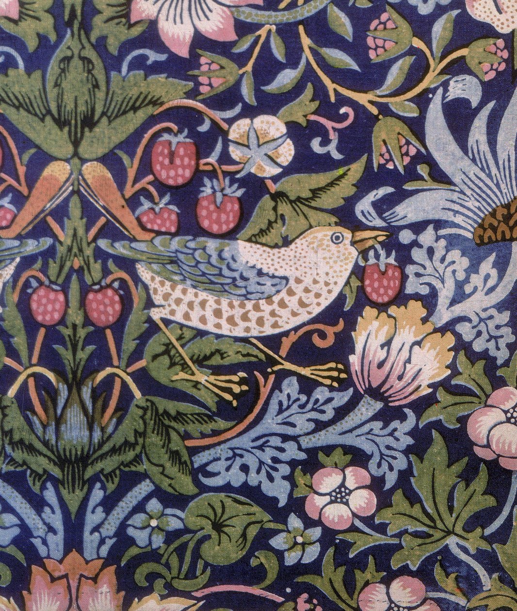 Erdbeer-Dieb Vorhang, 1883 von William Morris