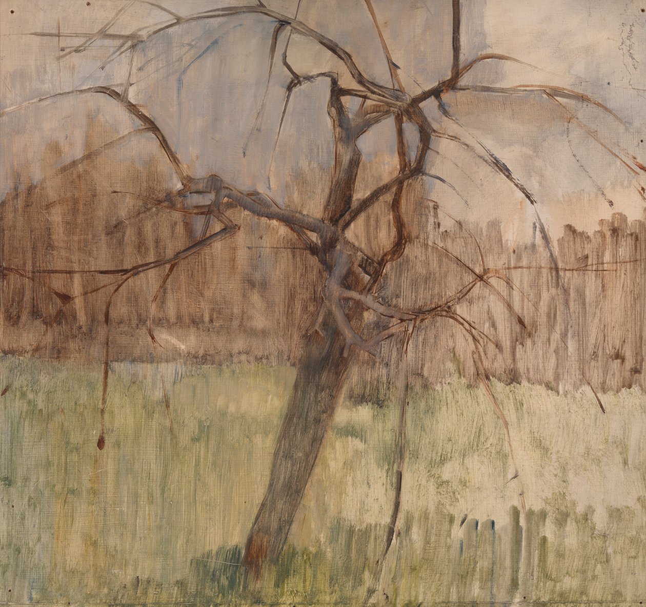 Apfelbaum, 1963 von William Packer