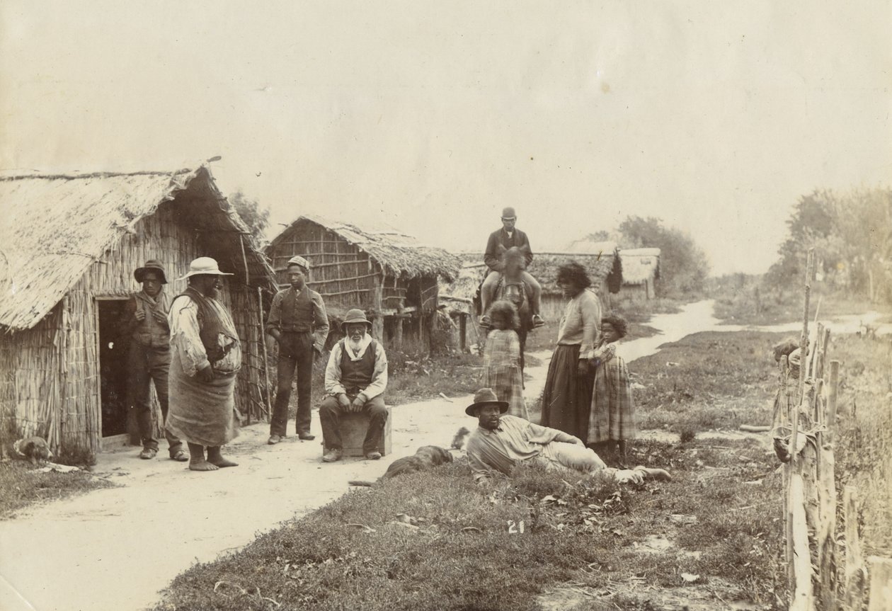 Kaiwhaiki pa, Upokongaro, ca. 1895 von William Partington