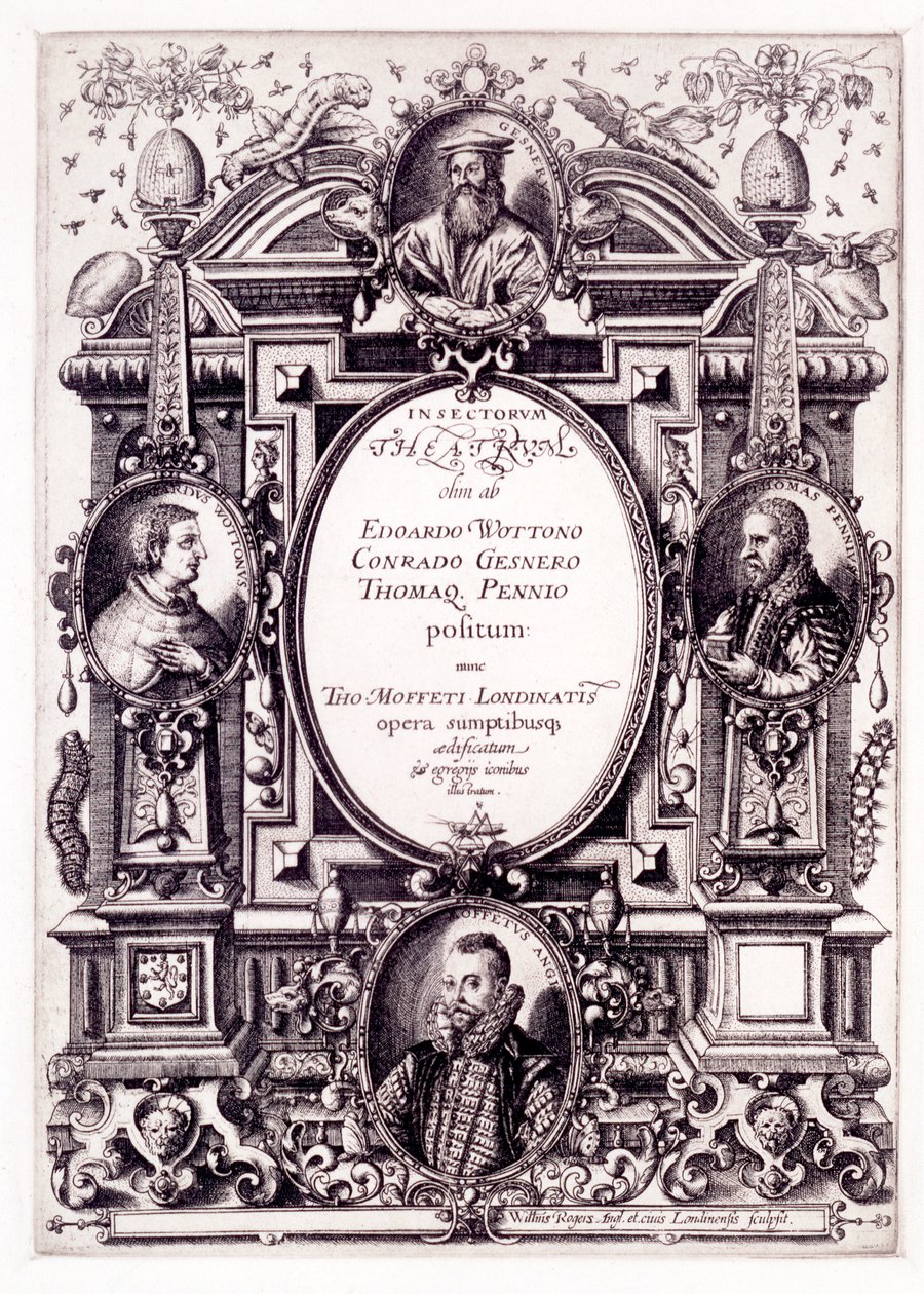 Titelseite zu Moffeti Theatrum Insectorum, späte 1590er von William Rogers