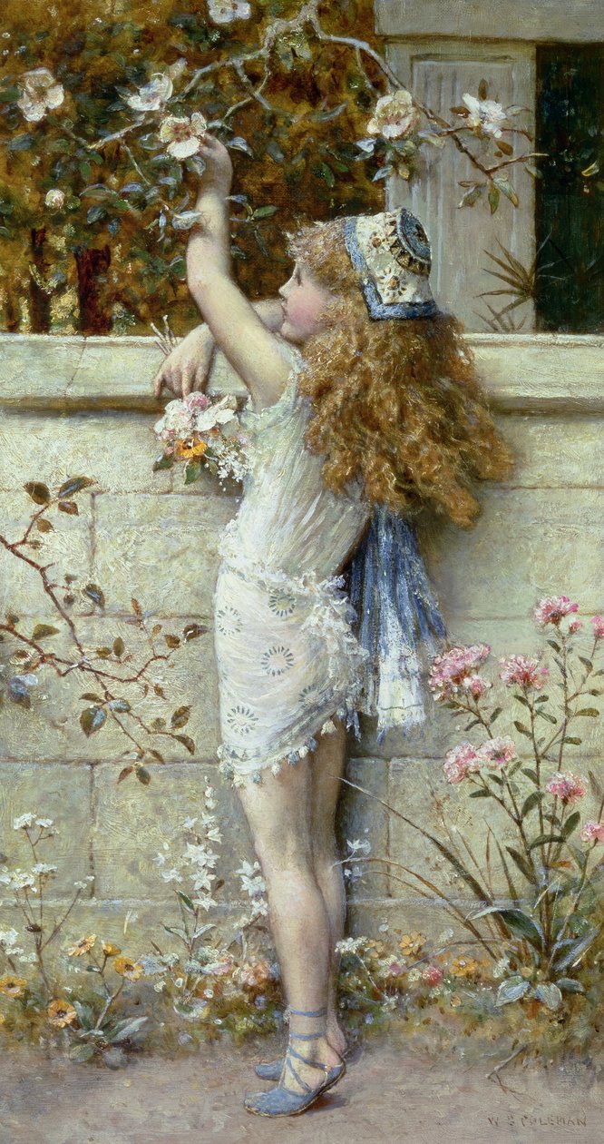 Blumen sammeln von William Stephen Coleman