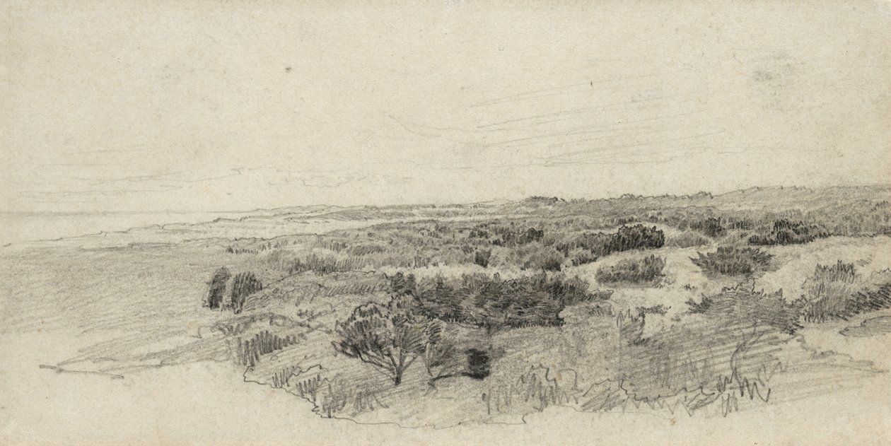 Landschaft mit Bäumen von William Trost Richards