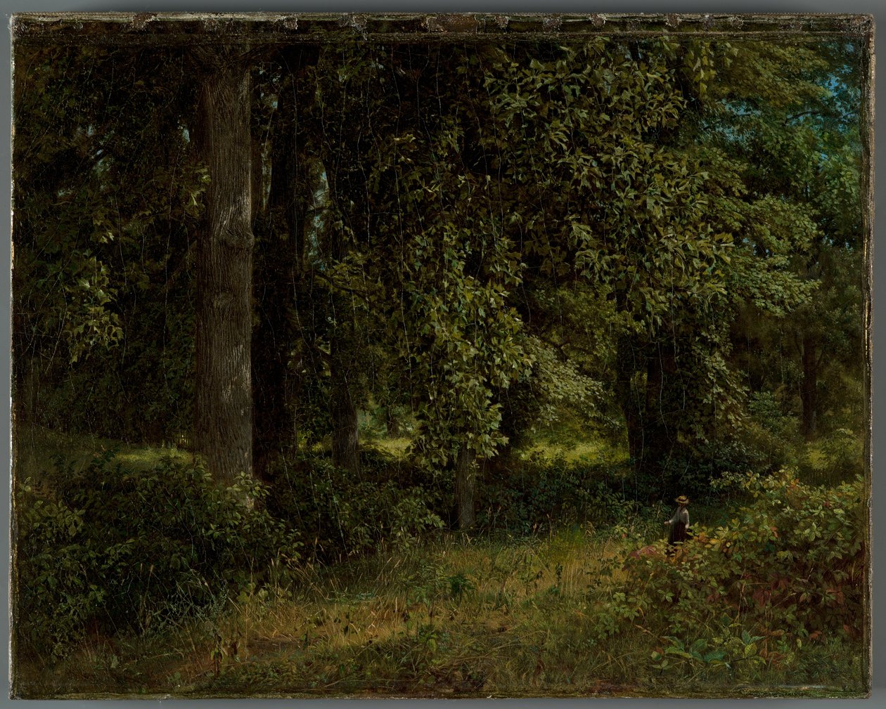 Tulpenbäume, 1859 von William Trost Richards