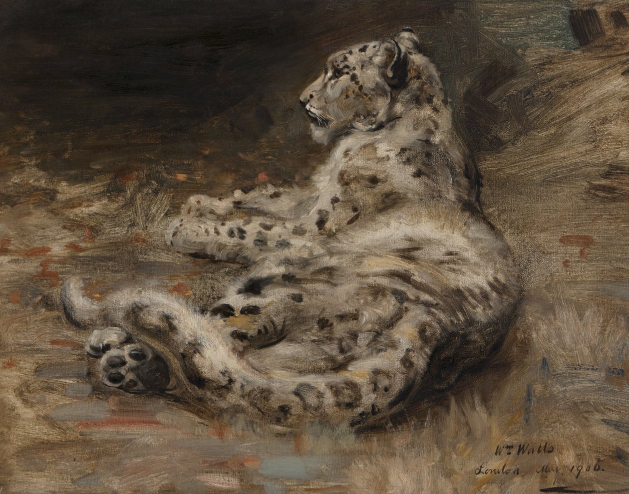 Ein Leopard, 1906 von William Walls