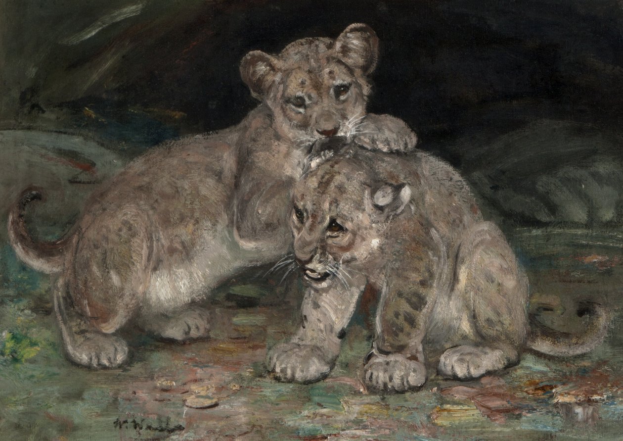 Löwenjunge, ca. 1906 von William Walls