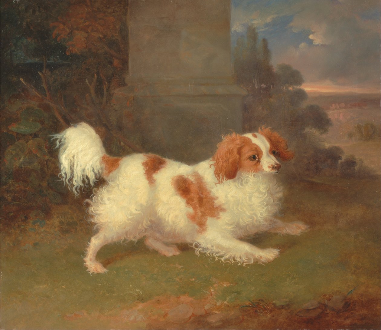 Ein Blenheim-Spaniel von William Webb