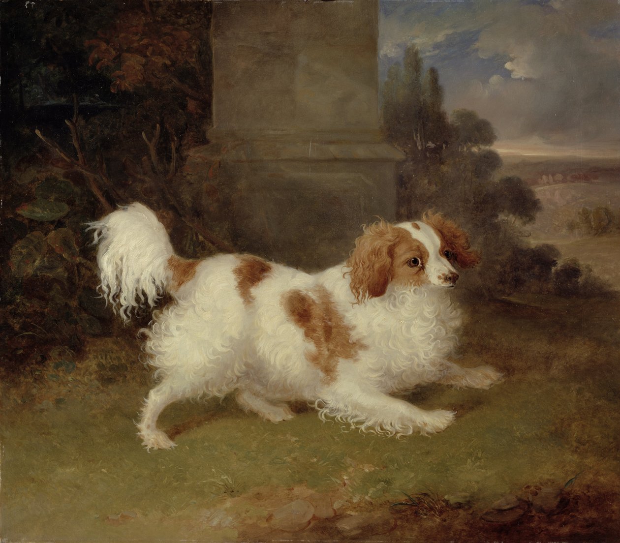 Ein Blenheim Spaniel, ca. 1820-30 von William Webb