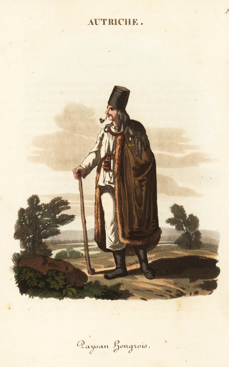 Ungarischer Bauer von William (after) Alexander
