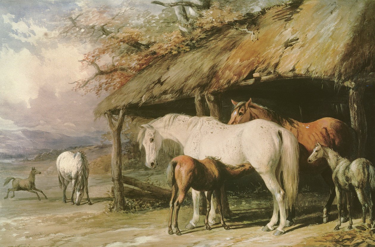 Stuten und Fohlen, 19. Jahrhundert von William Barraud