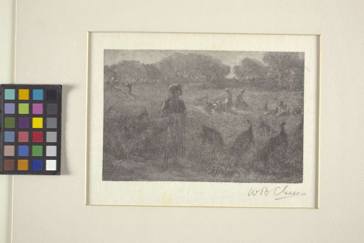 Die Truthahnweide von William Baxter Palmer Closson