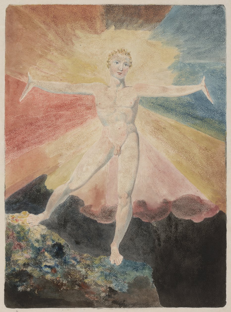 Albion Rose von William Blake