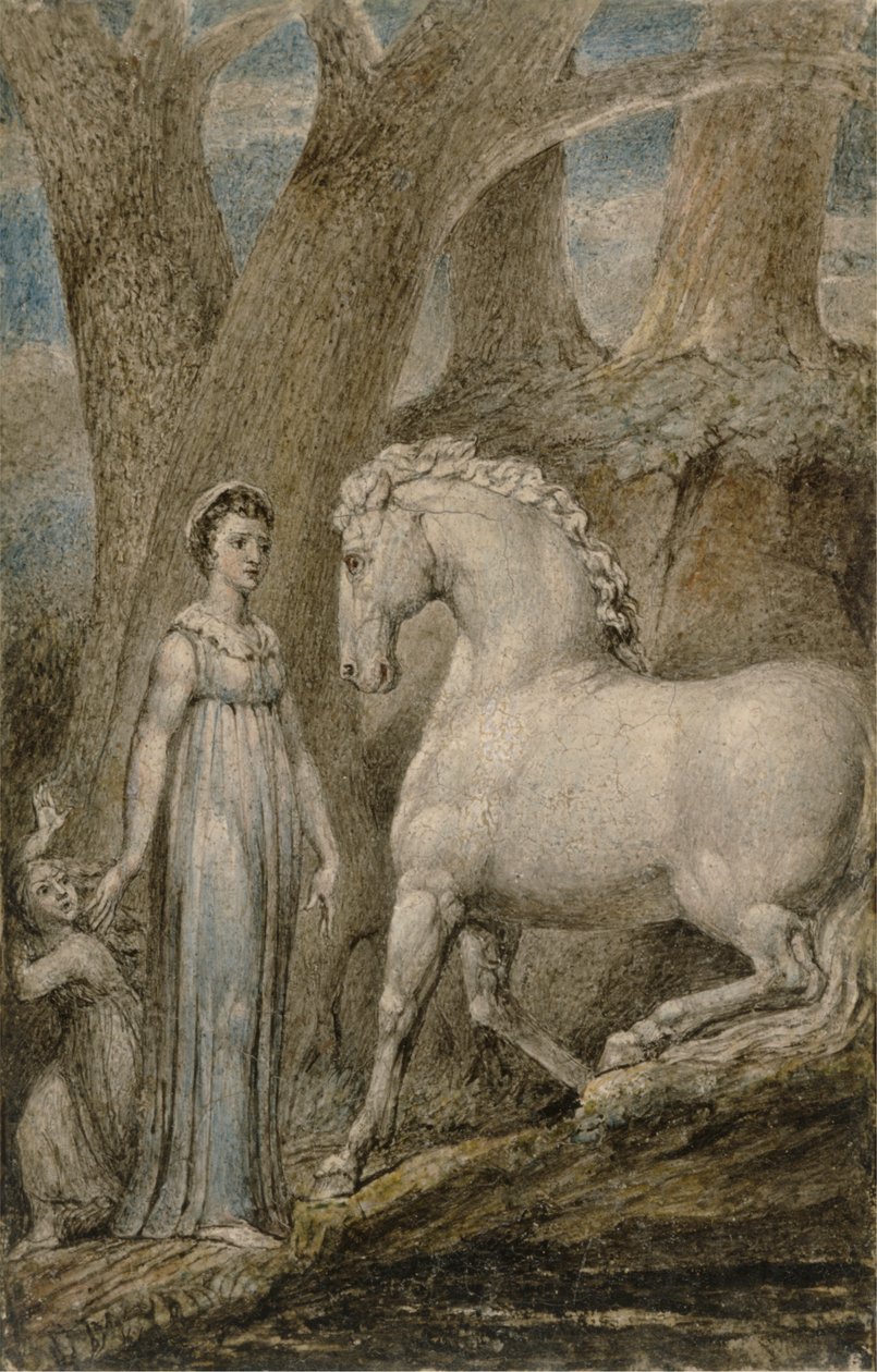 Das Pferd von William Blake
