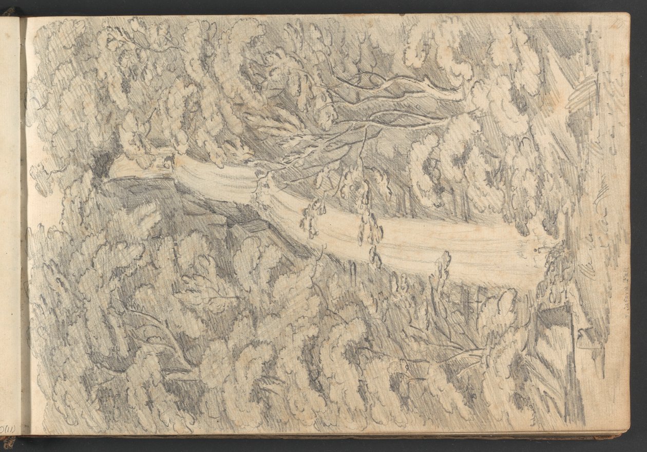 Lidford Fall von William Brockedon
