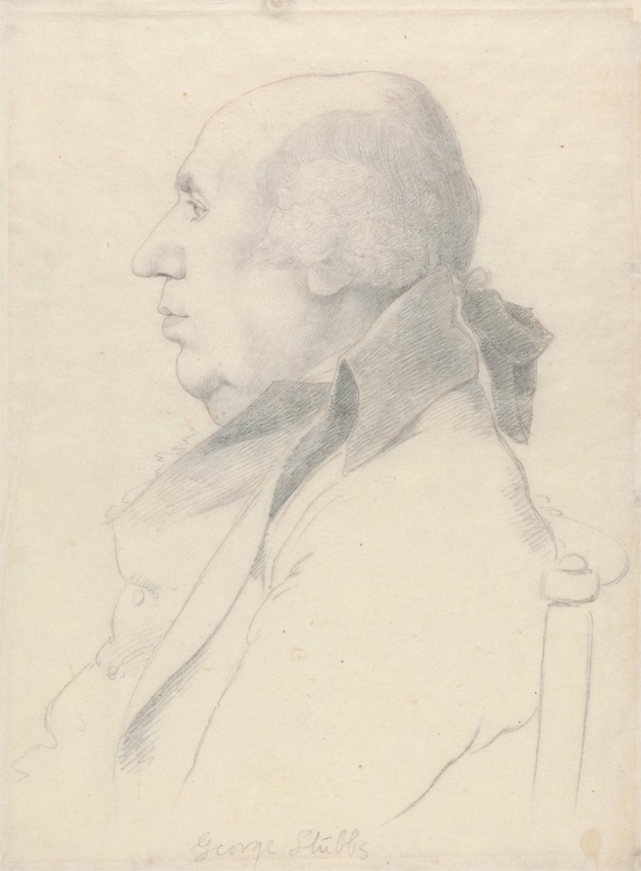 Porträt von George Stubbs von William Daniell