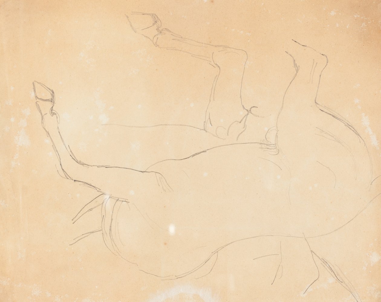 Studie eines Pferdes [verso] von William Etty
