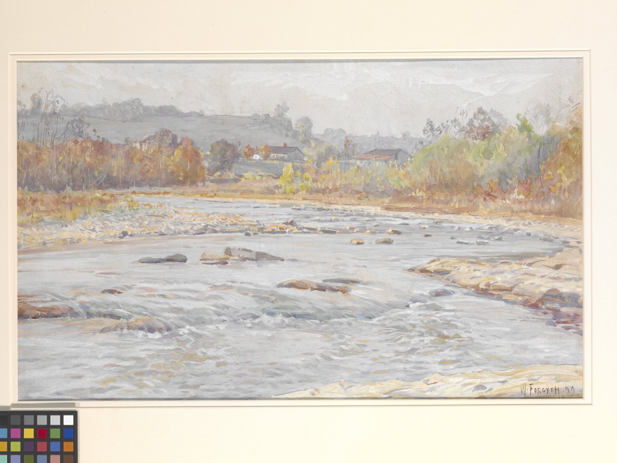 Stromschnellen von William Forsyth