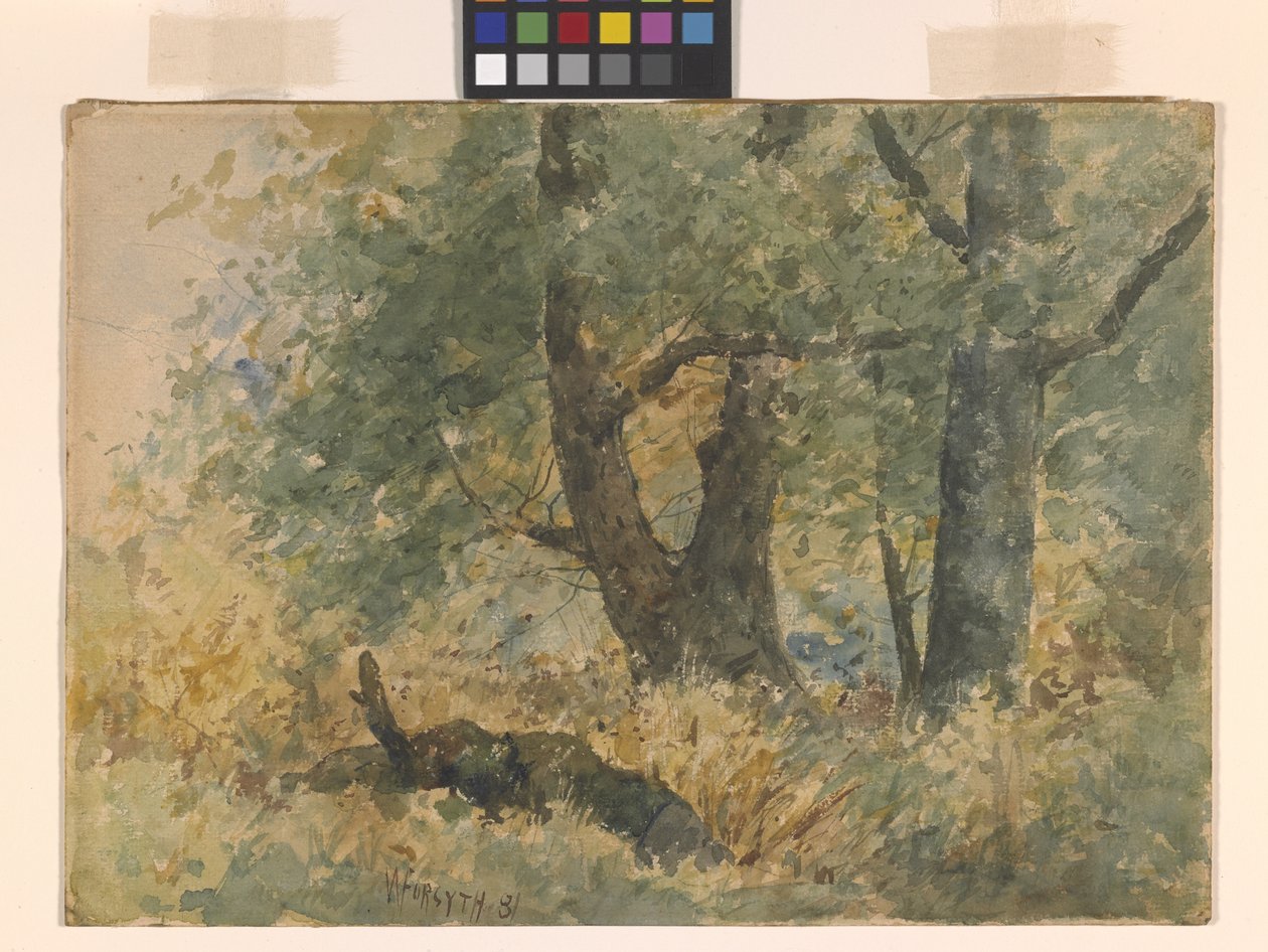 Waldlandschaft von William Forsyth