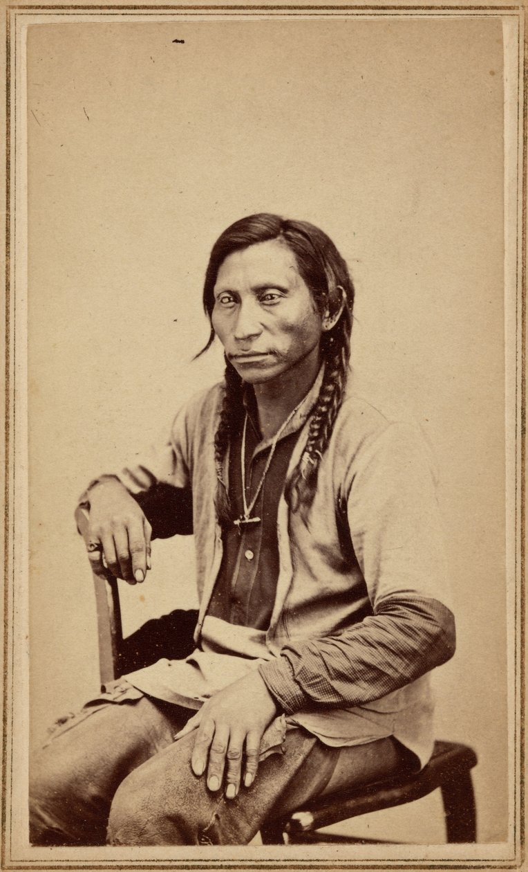 Grauer Wolf von William Gunnison Chamberlain