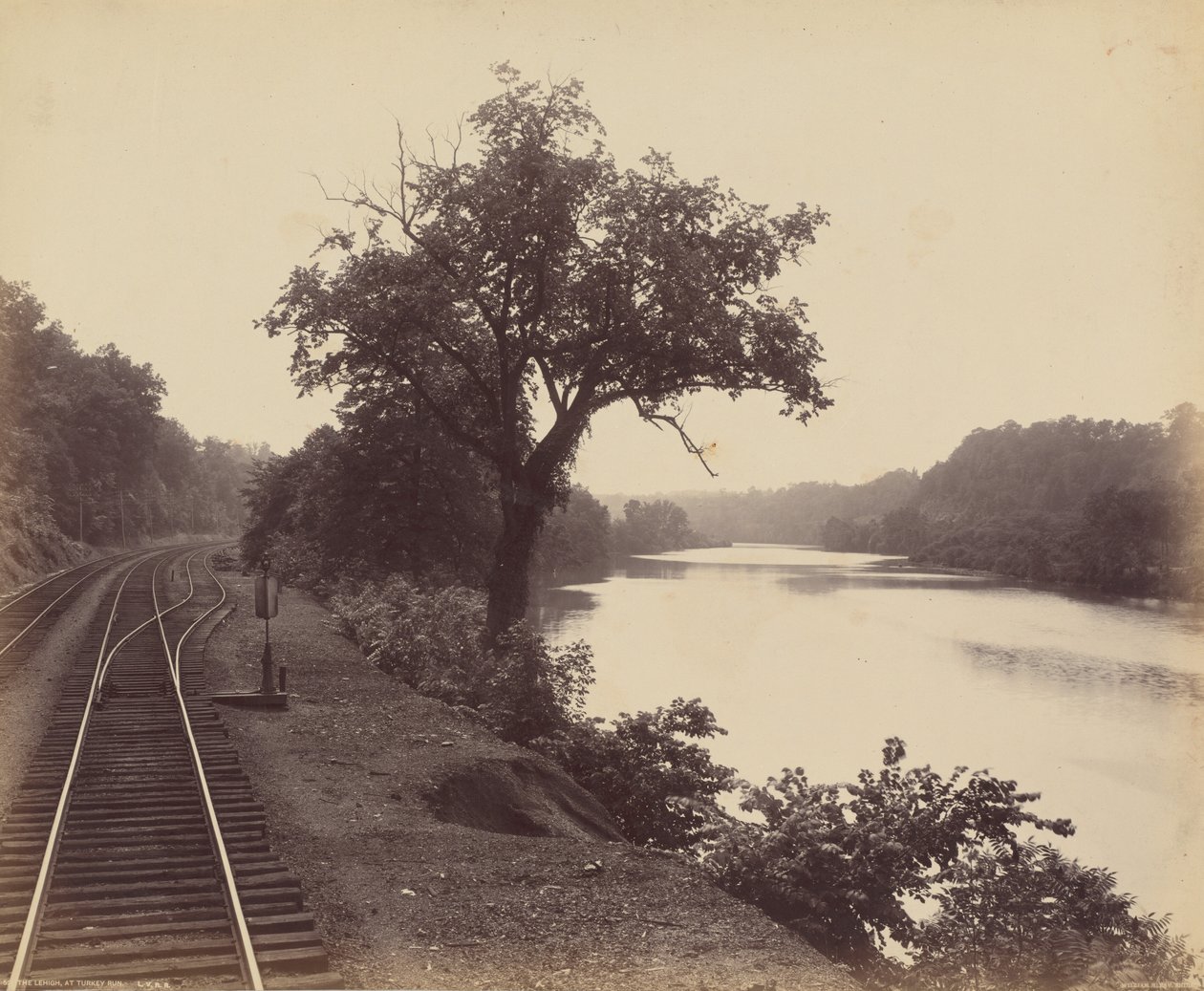 Der Lehigh bei Turkey Run von William H. Rau