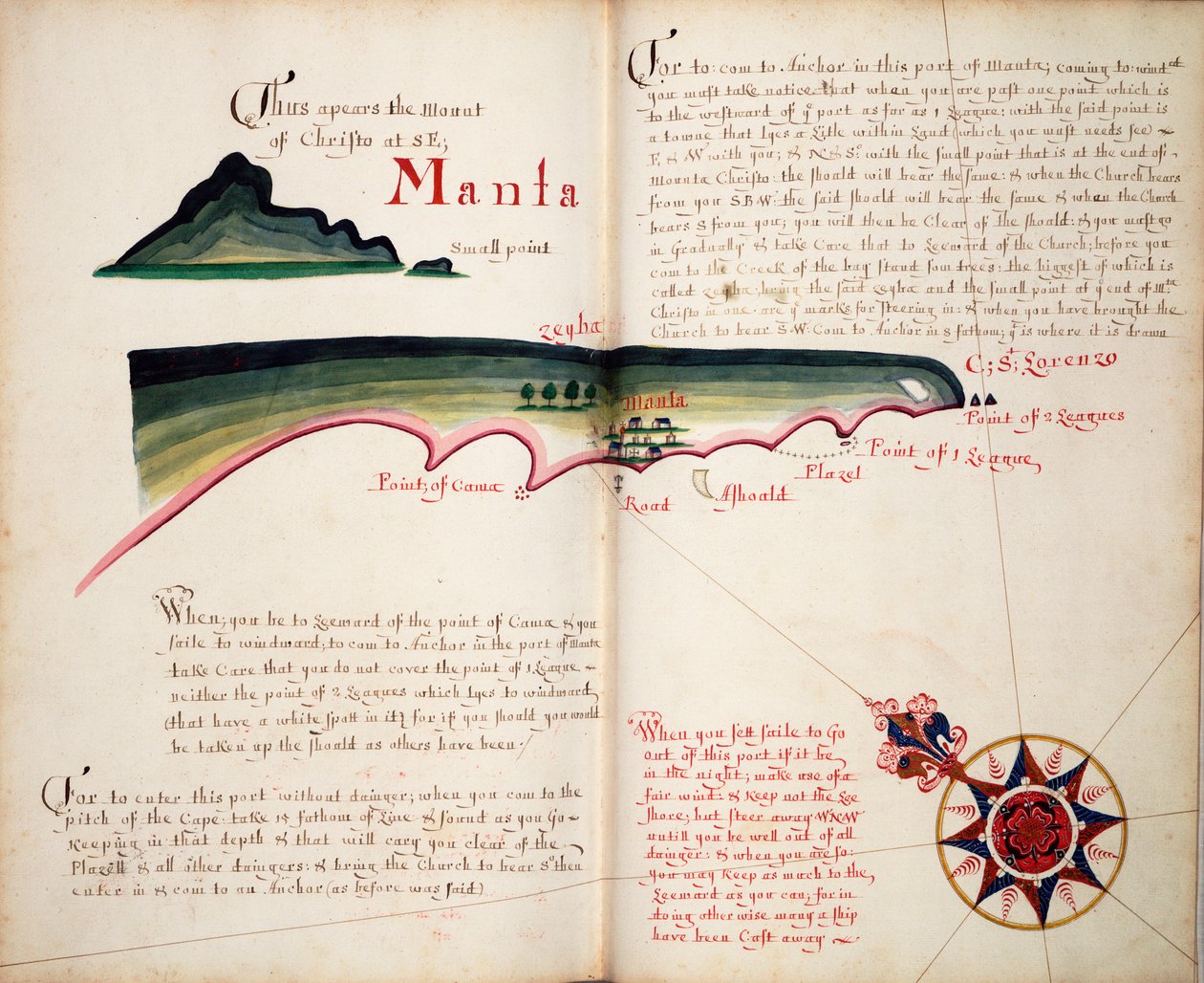 Manta von William Hack