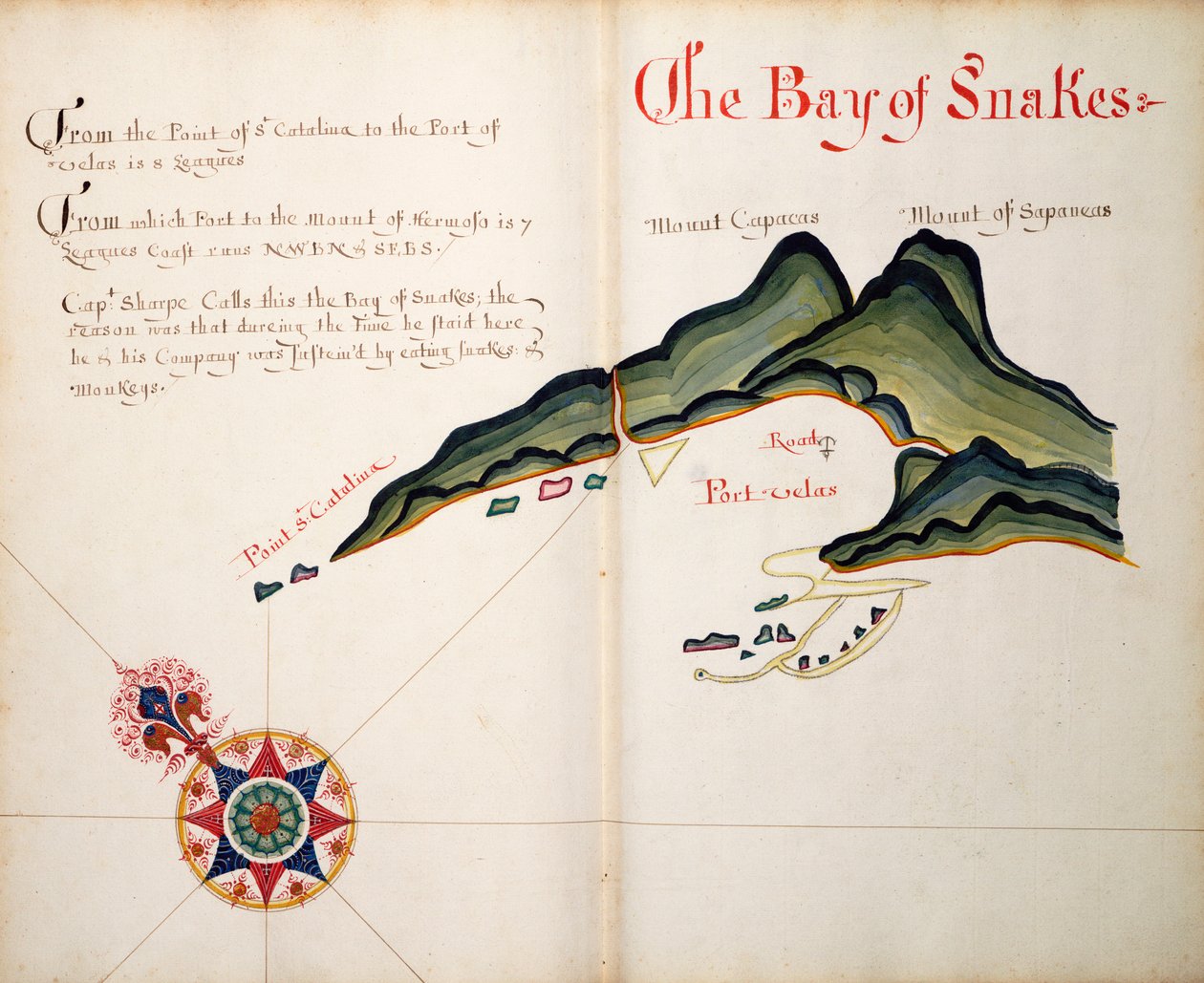 Die Bucht der Schlangen von William Hack