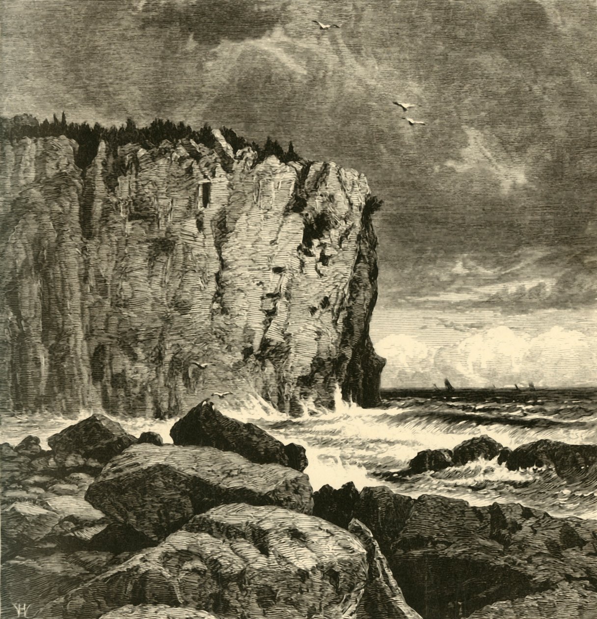 Kliff bei Beaver Bay von William Hart