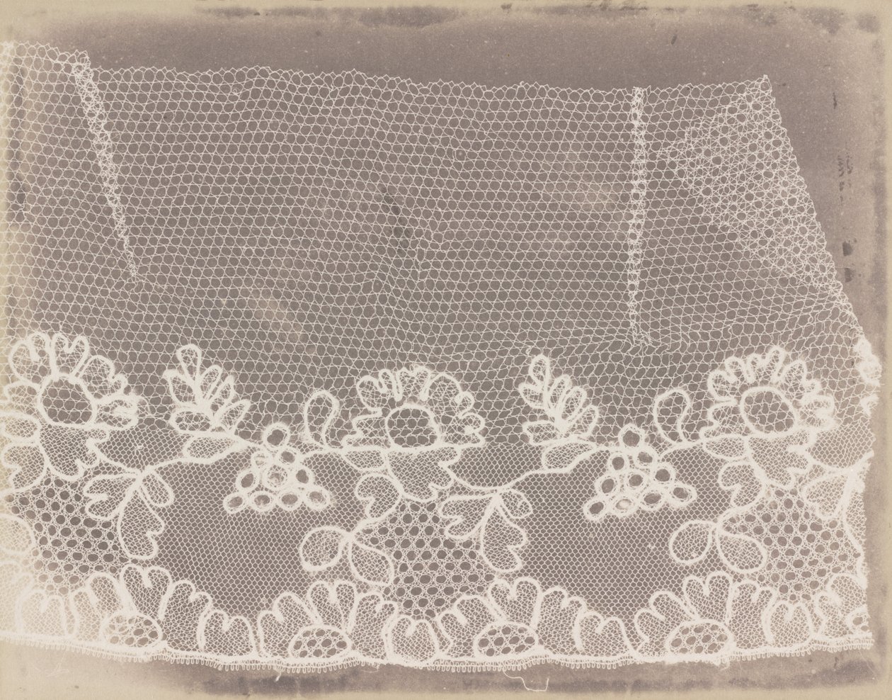 Spitze von William Henry Fox Talbot