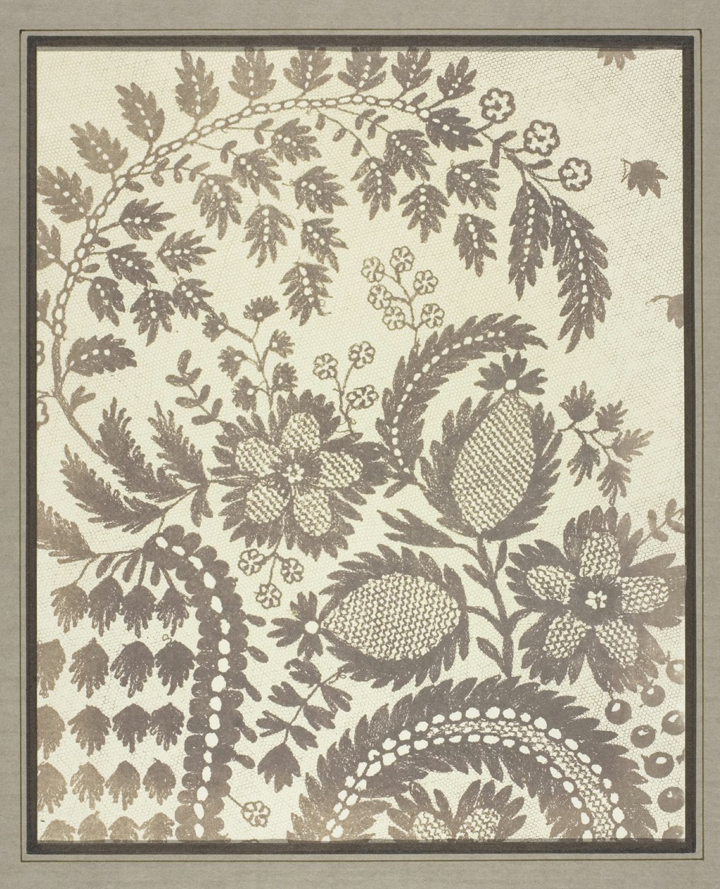 Spitze von William Henry Fox Talbot