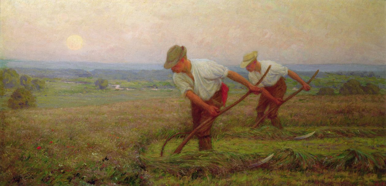 Die Schnitter von William Henry Gore