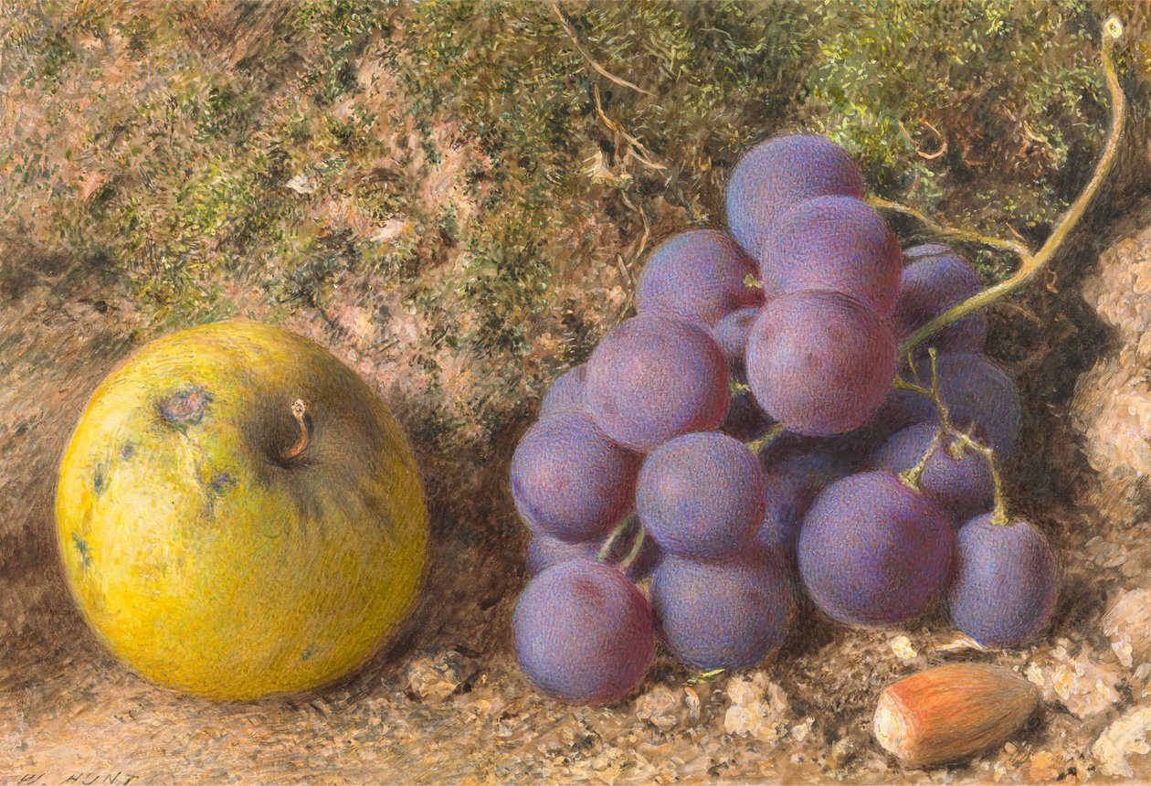Apfel, Trauben und eine Haselnuss von William Henry Hunt