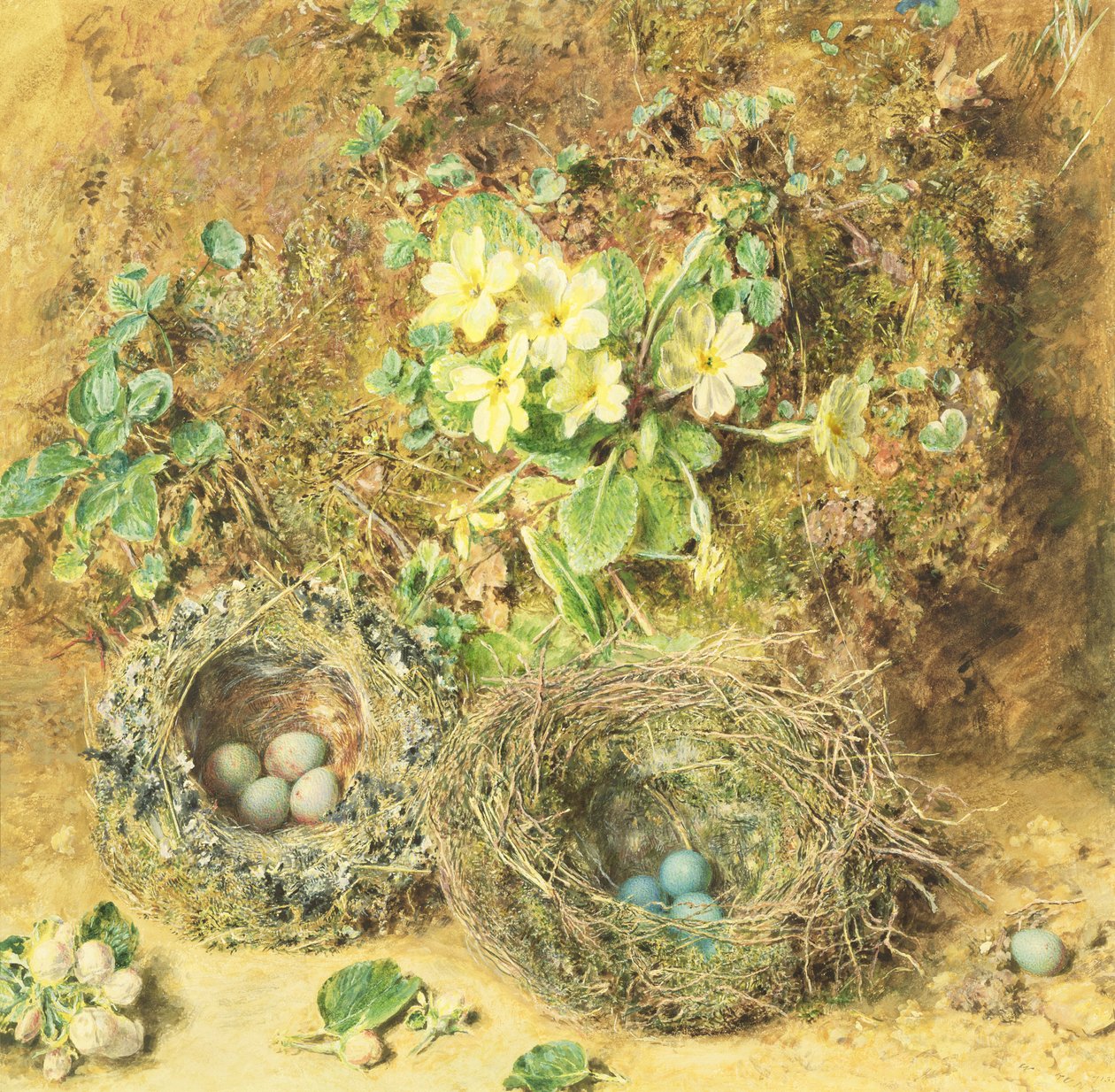 Primeln und Vogelnester von William Henry Hunt