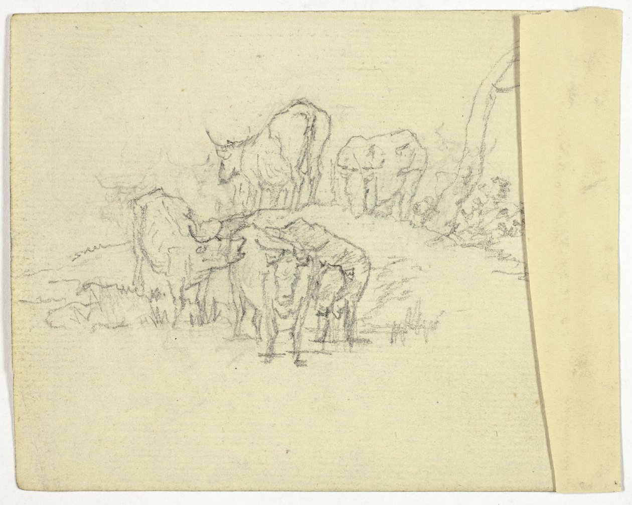 Vieh (recto); Der Scharlatan (verso) von William Henry Pyne