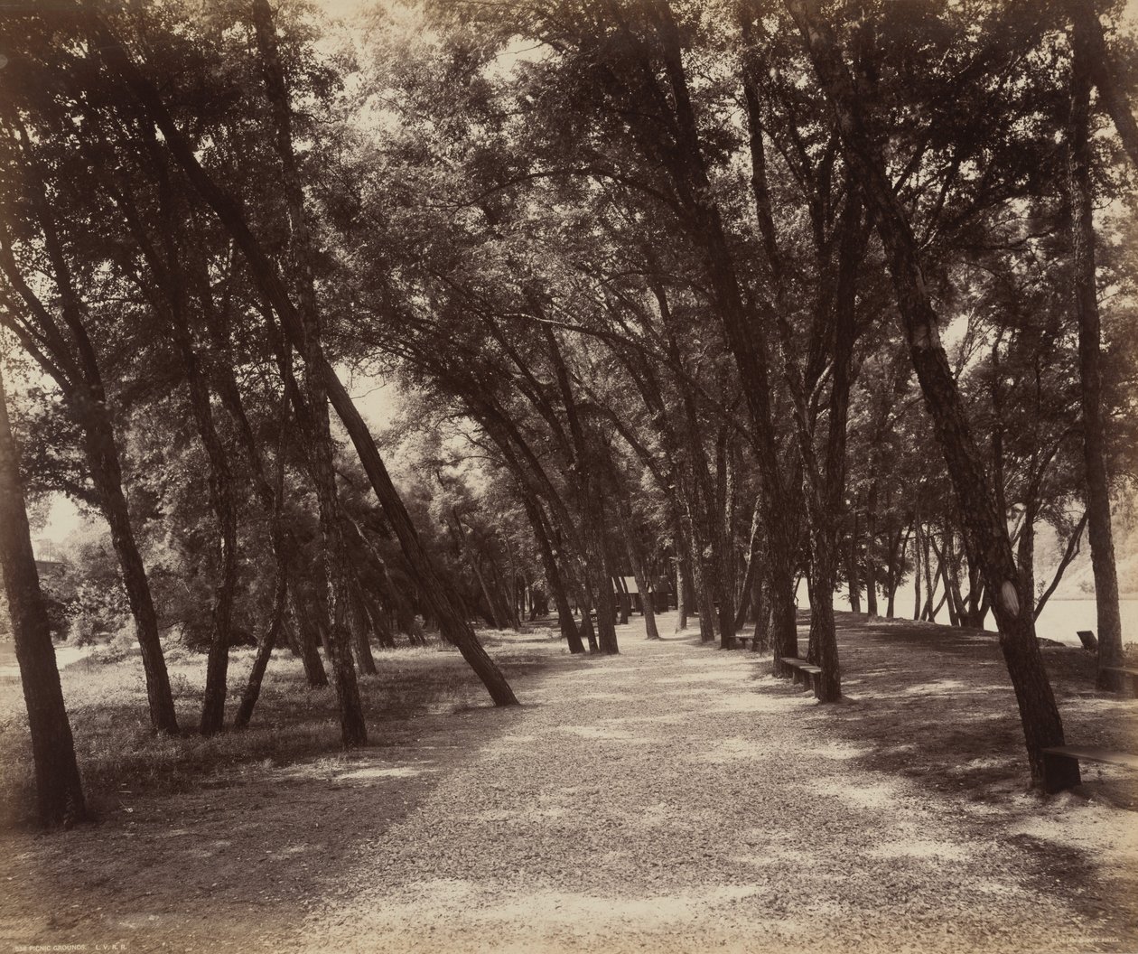 Picknickplätze, ca. 1895 von William Herman Rau