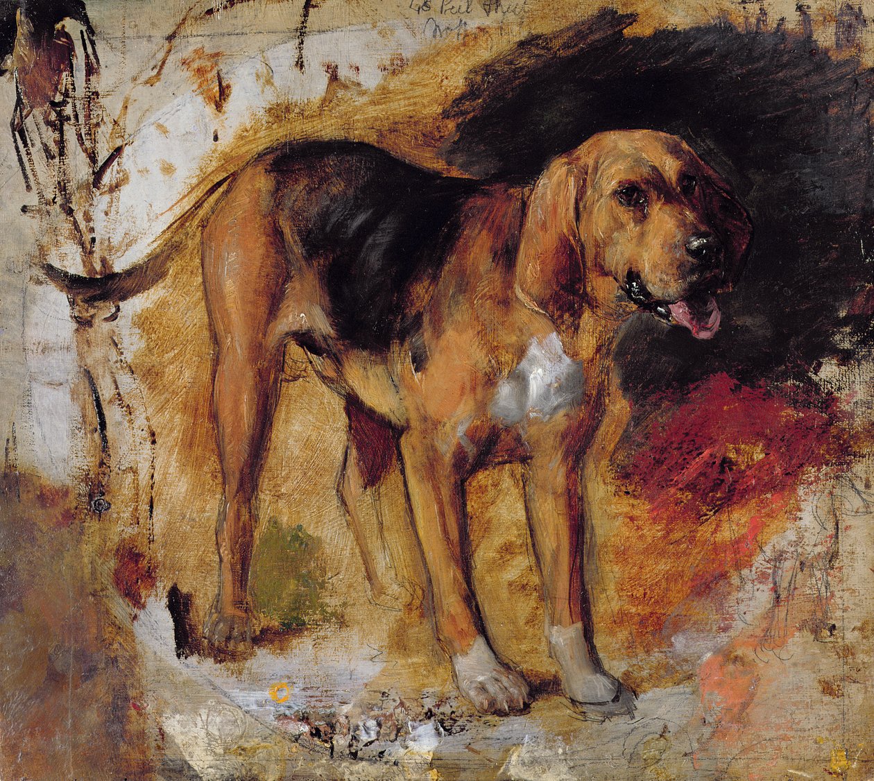 Studie eines Bluthundes von William Holman Hunt