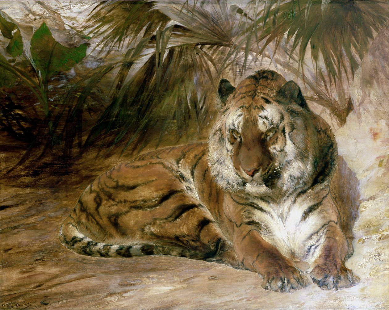 Tiger von William Huggins