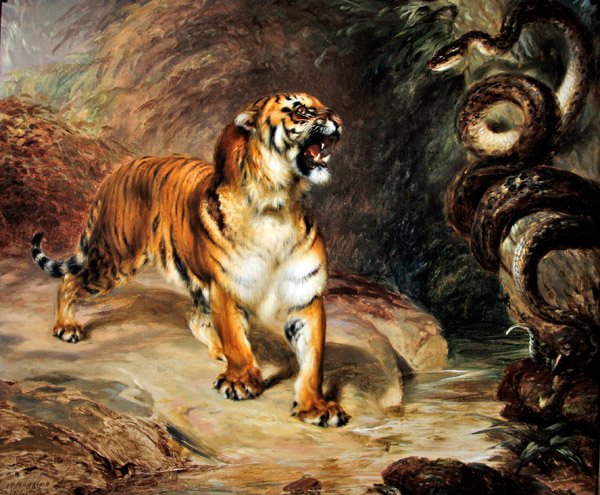 Tiger und Python von William Huggins
