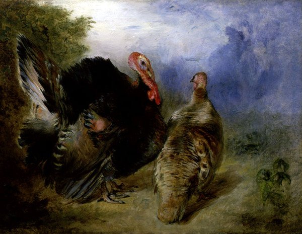 Truthähne von William Huggins