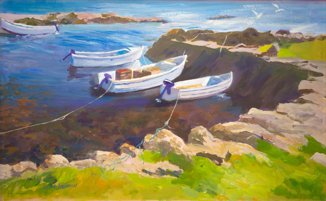 Felsiger Hafen von William Ireland